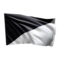 Karting flag - black and white