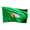 Flaga kartingowa - zielona z Twoim logo (25x25)