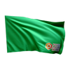 Karting flag – green with your logo (15x15)